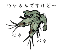 Japanese Swamp Shrimp sticker #12839745