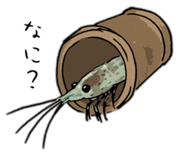 Japanese Swamp Shrimp sticker #12839746