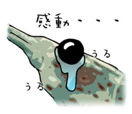 Japanese Swamp Shrimp sticker #12839749