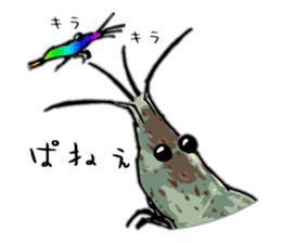 Japanese Swamp Shrimp sticker #12839751