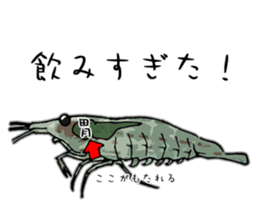 Japanese Swamp Shrimp sticker #12839752