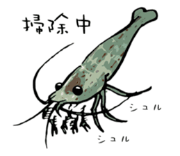 Japanese Swamp Shrimp sticker #12839754