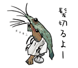 Japanese Swamp Shrimp sticker #12839757