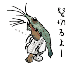 Japanese Swamp Shrimp sticker #12839757
