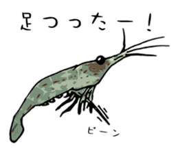 Japanese Swamp Shrimp sticker #12839763