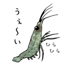 Japanese Swamp Shrimp sticker #12839764