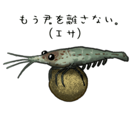 Japanese Swamp Shrimp sticker #12839765