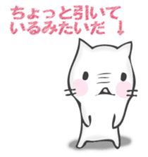 The cat I want to notice sticker #12843365