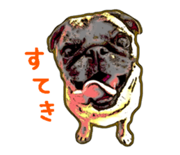 Realistic pug Sticker sticker #12845706