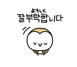 Mamefuku of barn owl5 Korean ver. sticker #12846651