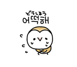 Mamefuku of barn owl5 Korean ver. sticker #12846655
