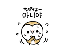 Mamefuku of barn owl5 Korean ver. sticker #12846679