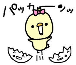 Chick of Naniwa3 sticker #12848282