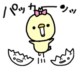 Chick of Naniwa3 sticker #12848282