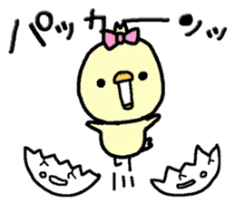 Chick of Naniwa3 sticker #12848282