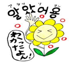 Korean-Japanese sunflower"tommy"~girly sticker #12849307