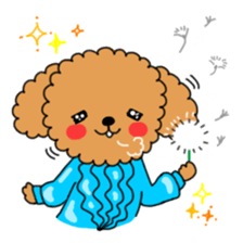 Toy poodles looking good sticker #12850646