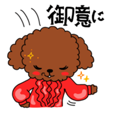 Toy poodles looking good sticker #12850648