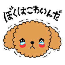 Toy poodles looking good sticker #12850650