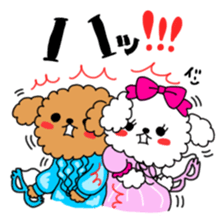 Toy poodles looking good sticker #12850651