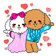 Toy poodles looking good sticker #12850652