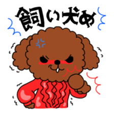 Toy poodles looking good sticker #12850656