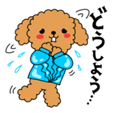 Toy poodles looking good sticker #12850657