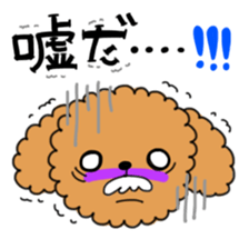 Toy poodles looking good sticker #12850659