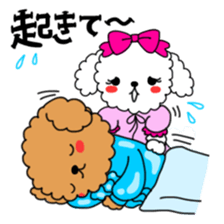 Toy poodles looking good sticker #12850661