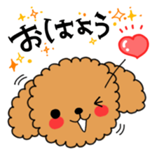 Toy poodles looking good sticker #12850662