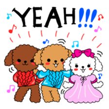 Toy poodles looking good sticker #12850665
