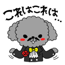 Toy poodles looking good sticker #12850668