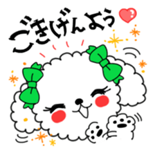 Toy poodles looking good sticker #12850676