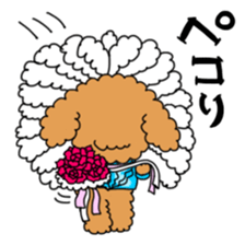 Toy poodles looking good sticker #12850680