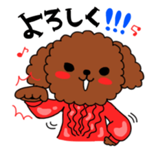 Toy poodles looking good sticker #12850681