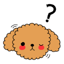 Toy poodles looking good sticker #12850684