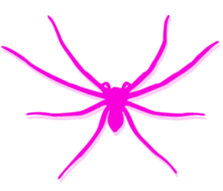 pink spider sticker #12851926
