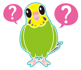 A budgerigar is good at chattering2 sticker #12852489