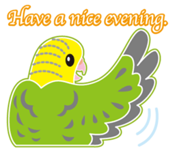 A budgerigar is good at chattering2 sticker #12852495