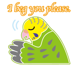 A budgerigar is good at chattering2 sticker #12852496