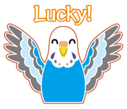 A budgerigar is good at chattering2 sticker #12852503