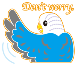 A budgerigar is good at chattering2 sticker #12852505