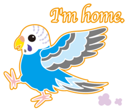A budgerigar is good at chattering2 sticker #12852523