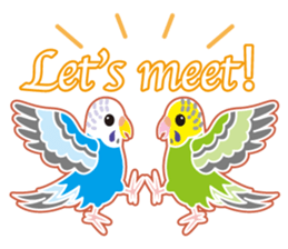 A budgerigar is good at chattering2 sticker #12852525