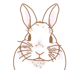 Lazy and cute Rabbit sticker #12855685