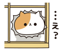 Everyday Tabby cat (animation ver.) sticker #12858317