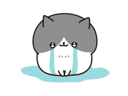 Everyday Tabby cat (animation ver.) sticker #12858321