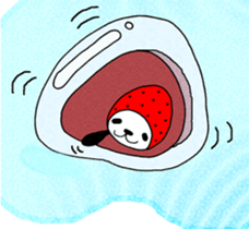 STRAWBERRY PANDA Part 9 sticker #12859029