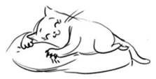 Cute cats in sketches (N.2) by trikono sticker #12859924