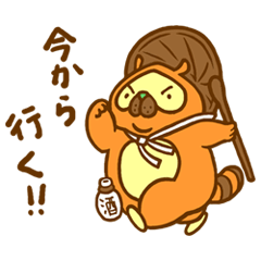 Everyday of raccoon dog